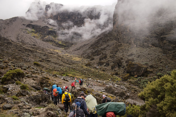 Kilimanjaro Adventure - the ascent begins