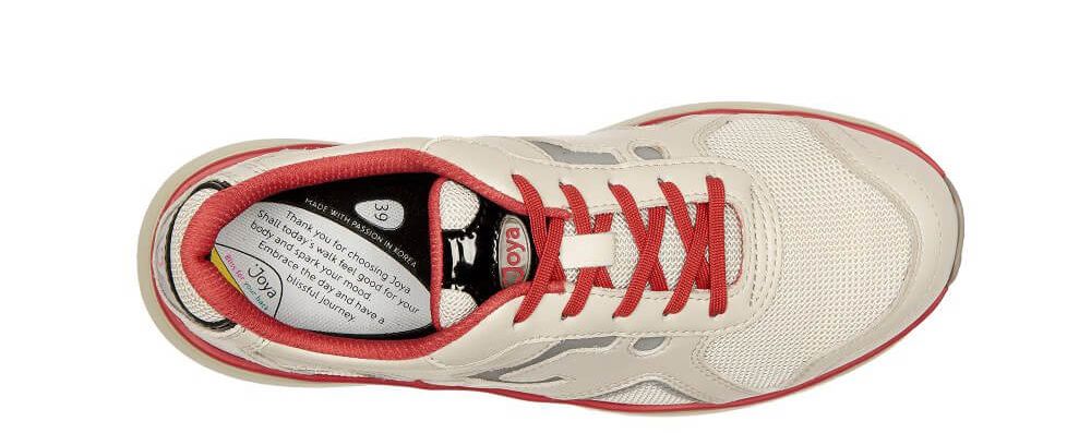 Waikiki ice cream