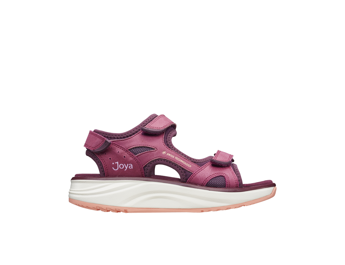 Komodo Violet