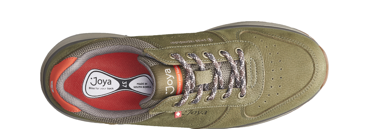 Dynamo Classic green